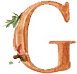 the letter g is made from wood and has a watercolor painting effect.jpg